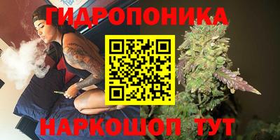 бошки Ливны